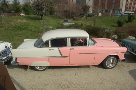 Bayrampaşa Belediyesi’nden, 14 Şubat kutlaması 4