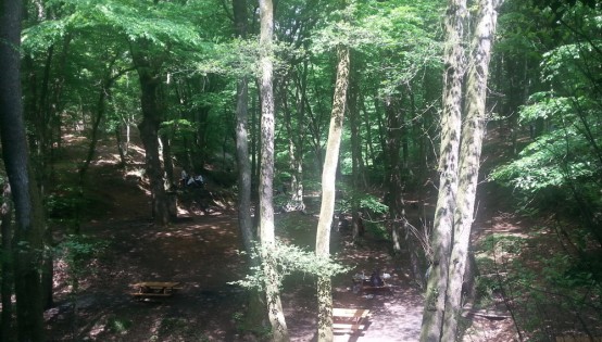 Belgrad Ormanları'nda neler oluyor? 1