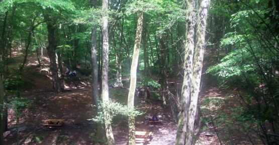 Belgrad Ormanları'nda neler oluyor? 3