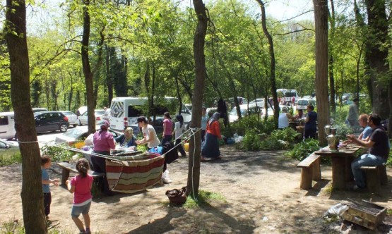 Belgrad Ormanları'nda neler oluyor? 4