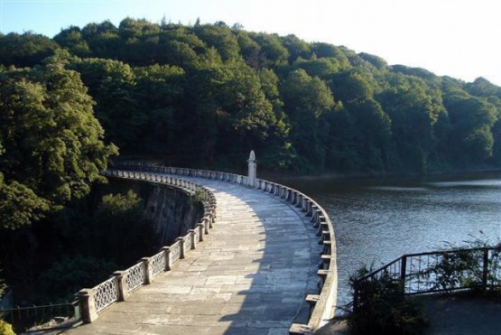 Belgrad Ormanları'nda neler oluyor? 5