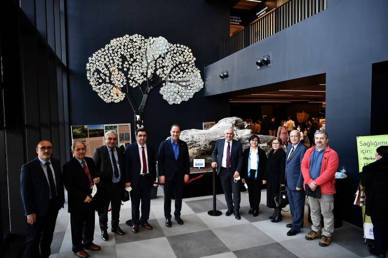 TÜRKİYE’NİN EN BÜYÜK FOSİL AĞACI BEYLİKDÜZÜ’NDE 4