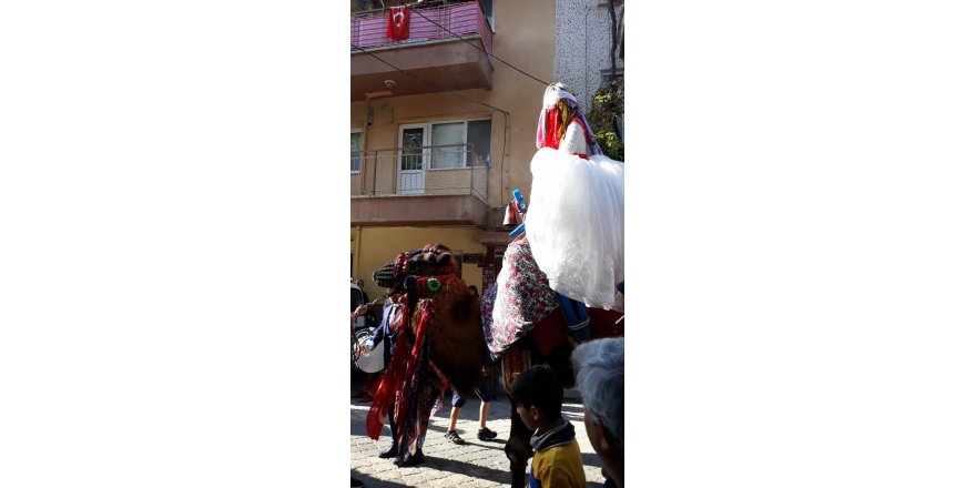 Gelini evinden deve ile aldı