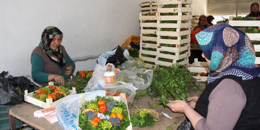 Avrupa'nın Noel çelengi Batı Akdeniz'den