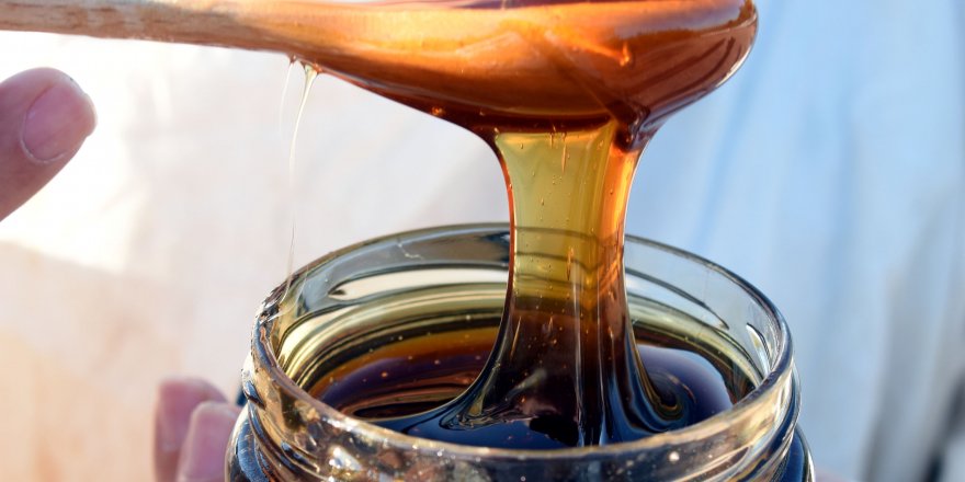 Kaz Dağları'nda üretilen 'mucize bal'ın sırrını anlattı