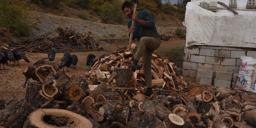 Bitlis’te kış için odunlar hazır