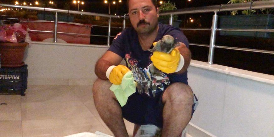 Çöpte bulduğu yavru köpeği biberonla besliyor