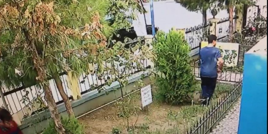 Yavru kediyi tekmeleyerek öldürdü