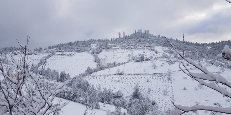ORDU'DA YAYLACILAR KARA YAKALANDI