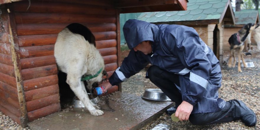 ORDU'DA, BARINAKTAKİ TEPKİ ÇEKEN GÖRÜNTÜLERE SORUŞTURMA
