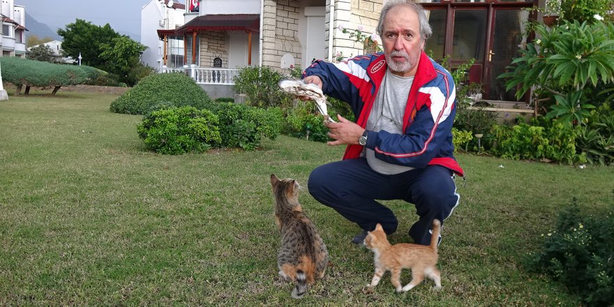 KIYIYA VURAN BALON BALIKLARINI YİYEN KEDİLER TELEF OLDU