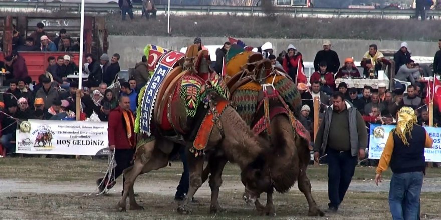 'DEVELER 1 OCAK'TAN İTİBAREN KÜPELENECEK, KİMLİKLERİ OLACAK'