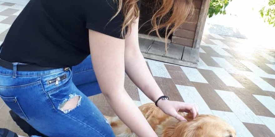 ÜNİVERSİTE ÖĞRENCİSİNİN ÖLDÜĞÜ KAZADA SANIĞIN YARGILANMASINA BAŞLANDI