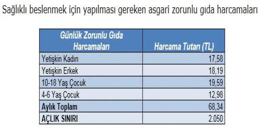 BİSAM: DÖRT KİŞİLİK AİLENİN SAĞLIKLI BESLENMESİ 2,050 LİRAYA ÇIKTI