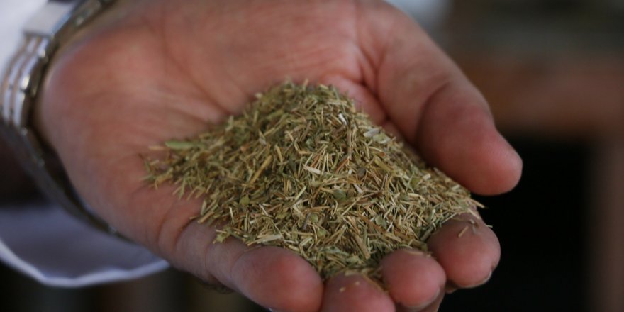 AÇIKTA SATILAN KEKİKLER İÇİN ‘CESET’ BENZETMESİ