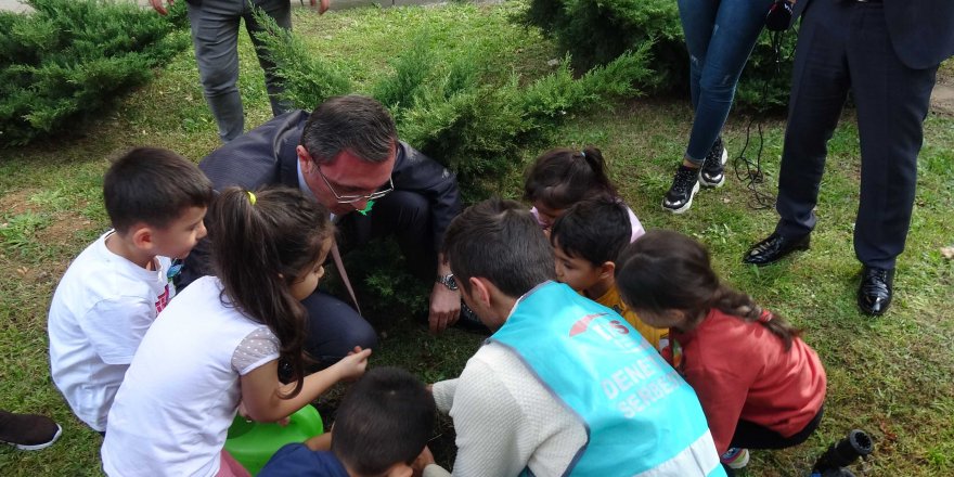 İSTANBUL ANADOLU ADALET SARAYI'NIN BAHÇESİNE 500 FİDAN DİKİLDİ