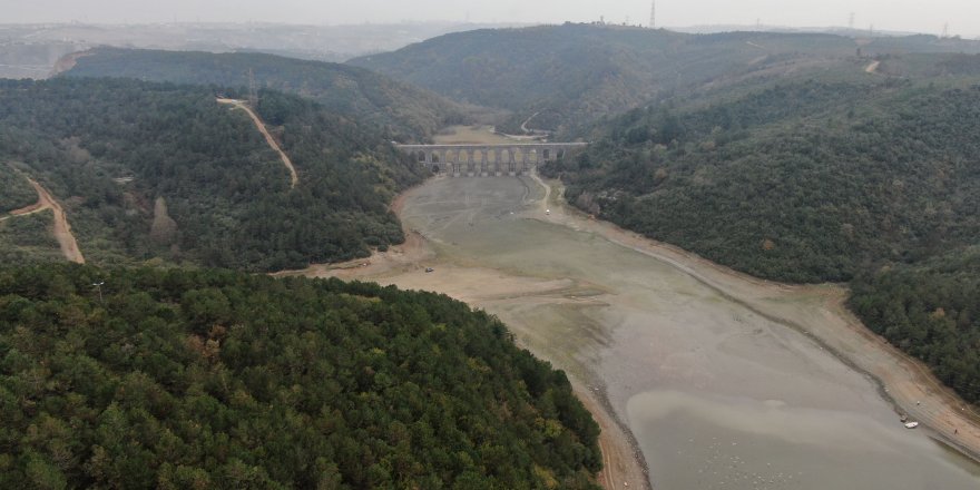 BALIKLAR YÜZÜYORDU ŞİMDİ KEÇİLER OTLUYOR