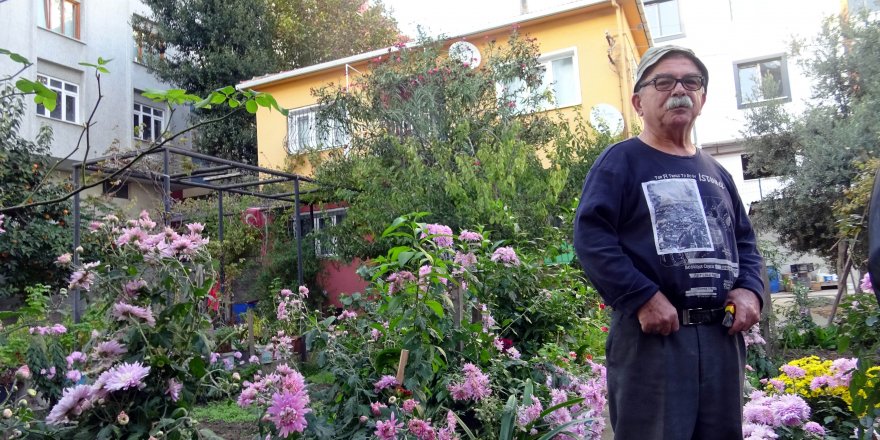 (HAVADAN FOTOĞRAFLARLA) - BETON YIĞINLARININ İÇERİSİNDE BOTANİK BAHÇESİ