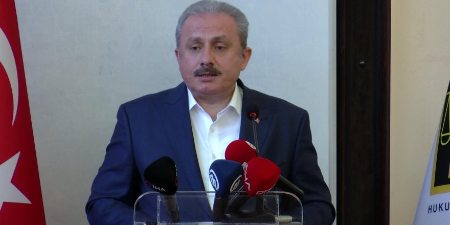 ŞENTOP: TEMEL PROBLEM, 1961 ANAYASASI'YLA ORTAYA ÇIKAN VESAYETÇİ SİSTEMDİR