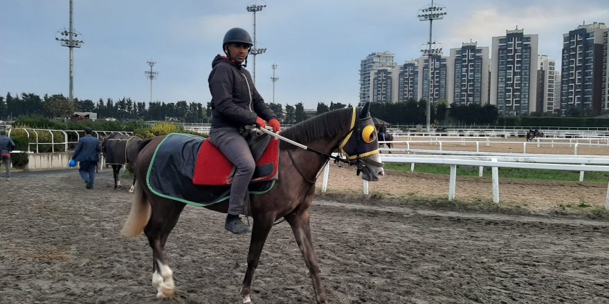 MİLYONLUK SAFKANLAR, BİNLERCE KİŞİYE İSTİHDAM SAĞLIYOR