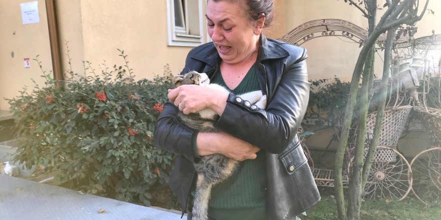 LÜKS SİTEDEKİ KEDİ ÖLÜMLERİ HAYVANSEVERLERİ AYAĞA KALDIRDI