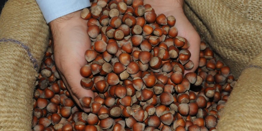 GIDA VE TARIM İTHALATINDA BUĞDAY, İHRACATTA FINDIK ÖNE ÇIKTI