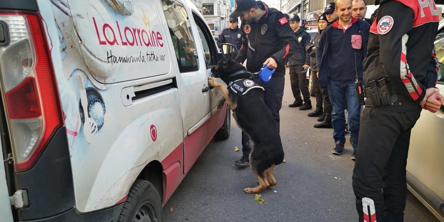 İSTANBUL'DA  KURT KAPANI 2019-19 DENETİMİ