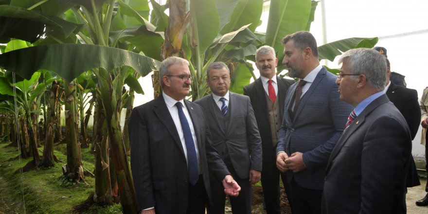 ANTALYA VALİSİ KARAOĞLU: TURİSTİK TESİSLERDE YERLİ MUZU TERCİH EDİN