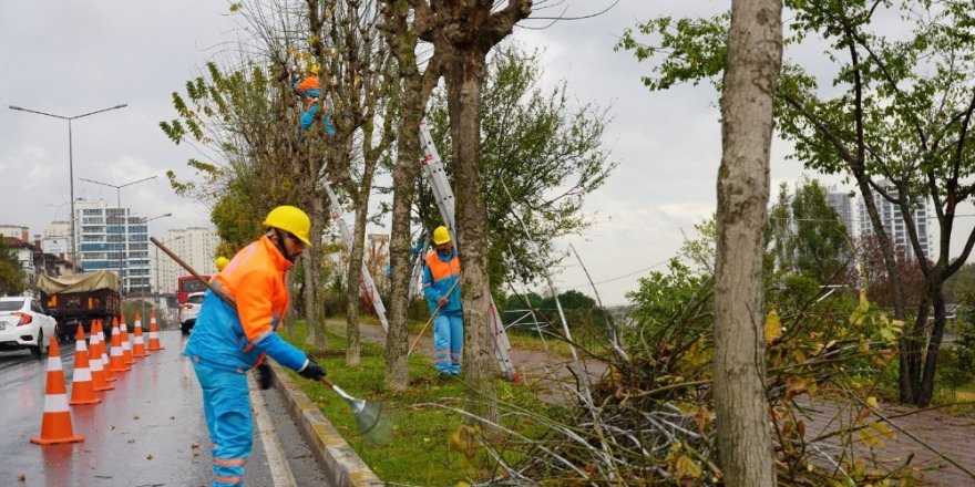 Bitkiler Kış İçin Koruma Altına Alınıyor