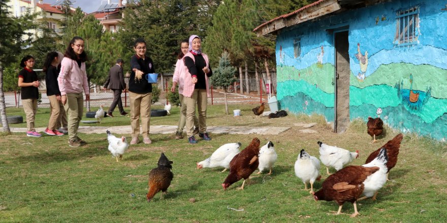 HAYVAN SEVGİSİ VE YARDIMLAŞMA İÇİN OKUL BAHÇESİNE KÜMES YAPTILAR
