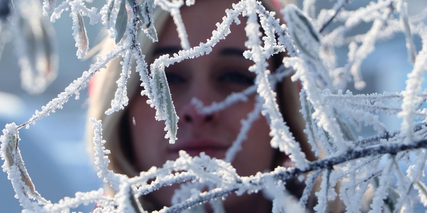 ERZURUM'DA AĞAÇLAR KIRAĞI TUTTU