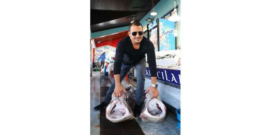 TEKİRDAĞ'DA 2 KÖPEK BALIĞI YAKALANDI