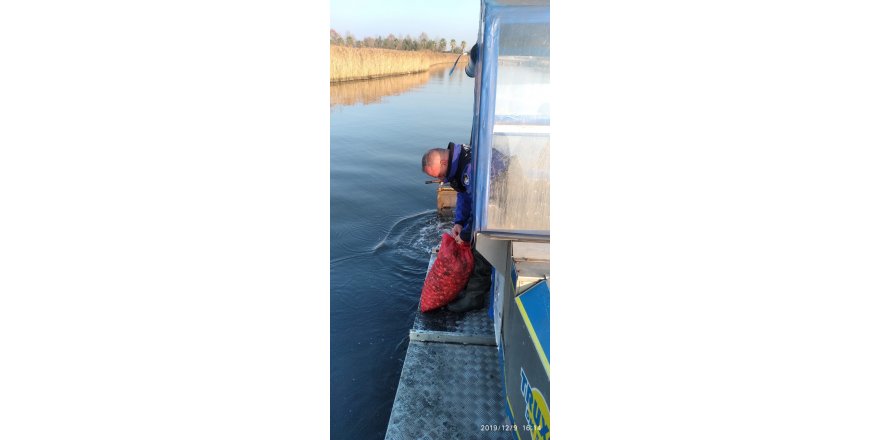 KAÇAK AVLANAN MİDYELER YENİDEN DENİZE BIRAKILDI