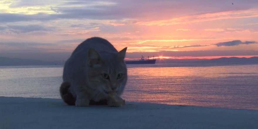 İSTANBUL'DA GÜNEŞİN DOĞUŞUYLA GELEN RENK CÜMBÜŞÜ