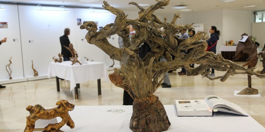 Ağaç Kökleri Maltepe’de Heykele Dönüştü