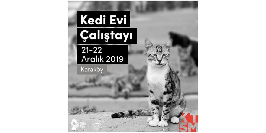 KALE TASARIM VE SANAT MERKEZİ’NDE SOKAK KEDİLERİ İÇİN KEDİ EVİ ÇALIŞTAYI