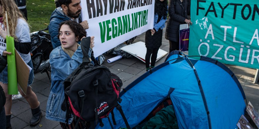 İBB ÖNÜNDE FAYTON PROTESTOSU; HAYVANSEVERLER ÇADIR KURDU