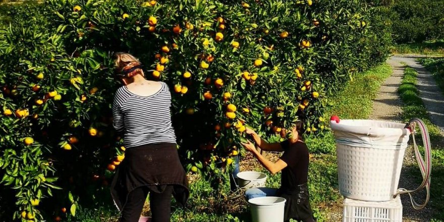 YEŞİL SAHALARIN YILDIZLARI LÖSEMİLİ ÇOCUKLAR İÇİN BİRARAYA GELDİ