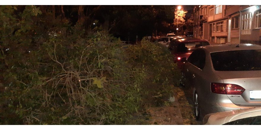 İSTANBUL'DA LODOS GECE DE ETKİLİ OLUYOR