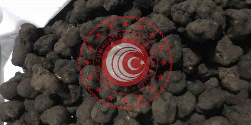 80 KİLO TRÜF MANTARI, İHALE İLE SATIŞA ÇIKARILDI