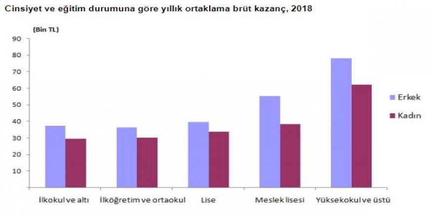 TÜİK-YILLIK ORTALAMA BRÜT KAZANÇ 2018’DE 49 BİN 1 LİRA OLDU
