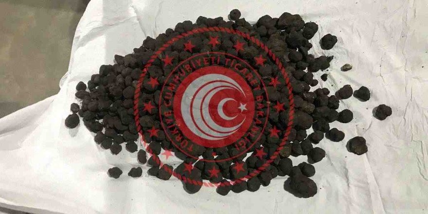 TRÜF MANTARINA ALICI ÇIKMADI, FİYATI YARIYA DÜŞTÜ