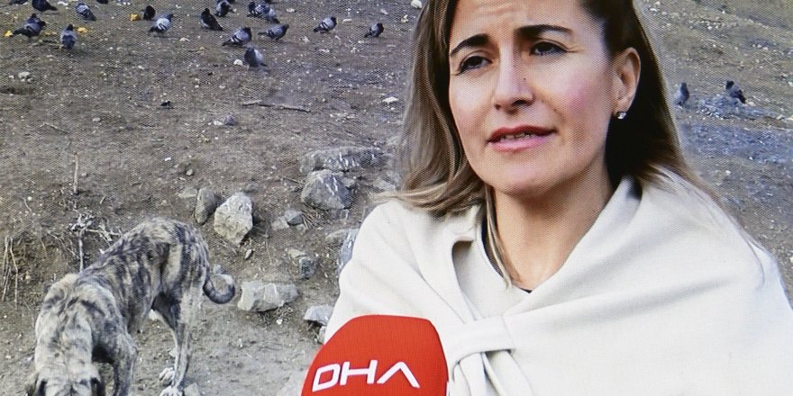 ATIK YEMEKLERLE 200 KÖPEĞİ BESLİYORLAR