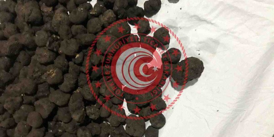 TRÜF MANTARINA YİNE ALICI ÇIKMADI