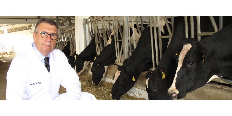 SETBİR/TEZEL: ET VE SÜTTE KAYIT DIŞI ORTADAN KALDIRILMALI