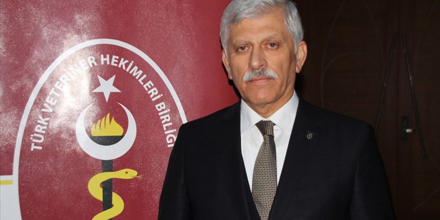 TVHB BAŞKANI EROĞLU: HAYVAN HAKLARI KONUSUNDA ZAMAN GEÇİRİLMEDEN YENİ DÜZENLEME YAPILMALI
