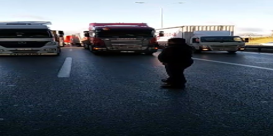 NAKLİYECİLER KAMYONLARIYLA TEM'İ KAPATTI