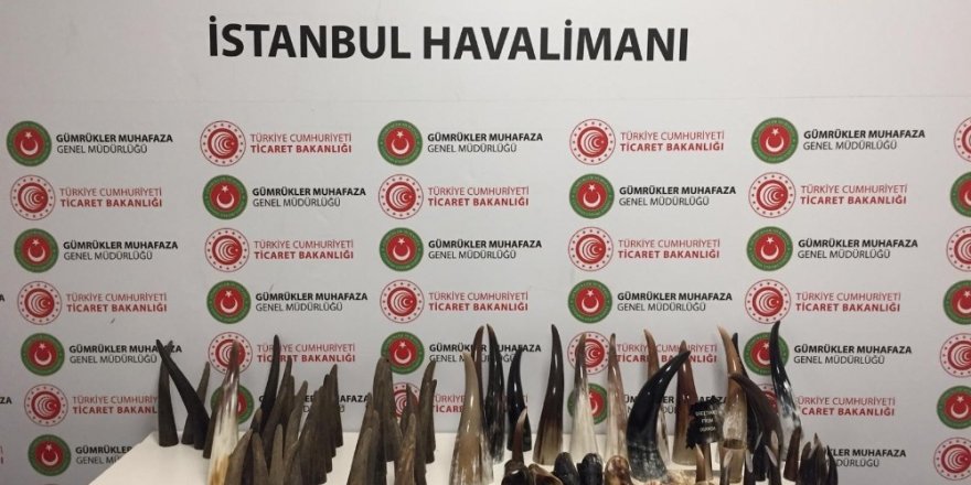 İstanbul Havalimanı’nda Bufalo Boynuzu Operasyonu