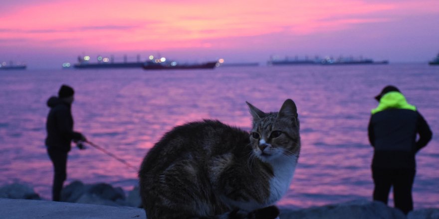 İSTANBUL'DA GÜN DOĞUMU GÖKYÜZÜNÜ KIZILA BOYADI