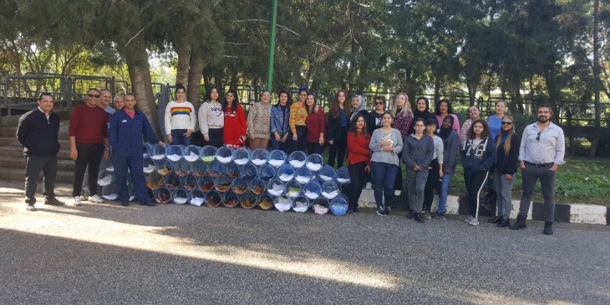 Su Damacanalarından Sokak Hayvanlarına Yuva Yaptılar